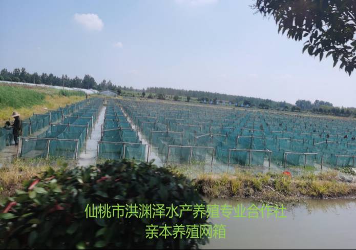 必威·BETWAY(西汉姆联)唯一官方网站